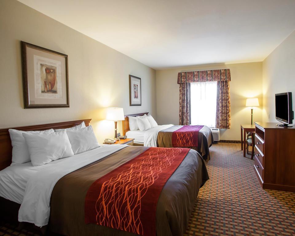 Comfort & Hotel